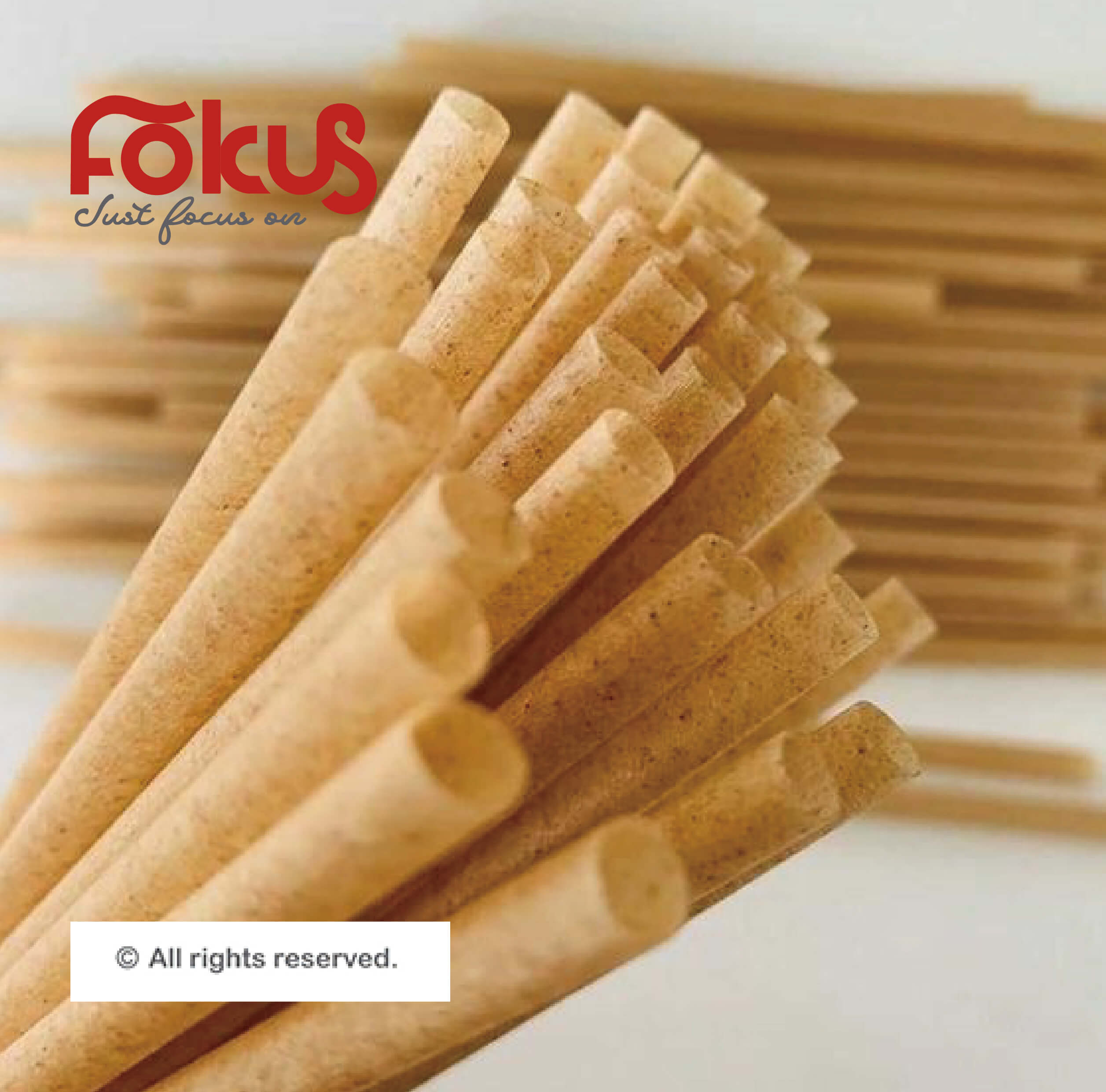 Reusable plant fiber straws – eco-friendly alternative to plastic straws